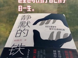 仇恨通关前的电站密码解密：解密背后的真相揭秘