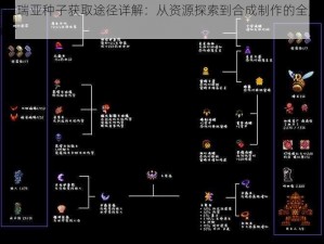 泰拉瑞亚种子获取途径详解：从资源探索到合成制作的全方位解析