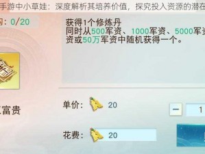 天下手游中小草娃：深度解析其培养价值，探究投入资源的潜在收益