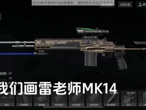 使命召唤手游MK14全面解析：属性特点与实战表现探究