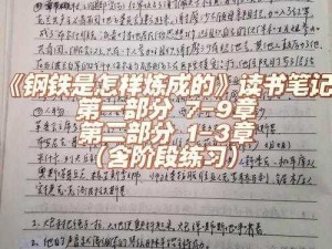 《铁皮法杖刷涂多久能焕然一新？揭秘实践者的心得历程》