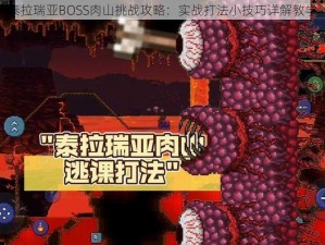 泰拉瑞亚BOSS肉山挑战攻略：实战打法小技巧详解教学