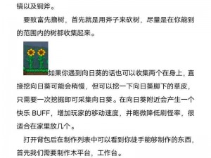 泰拉瑞亚：锤子制作全攻略：从材料收集到成品诞生的步骤详解