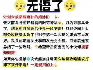 太极熊猫2副本匹配无人怎么办？实用解决策略大全探秘之旅解决攻略来了