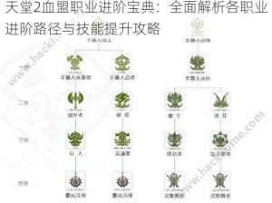 天堂2血盟职业进阶宝典：全面解析各职业进阶路径与技能提升攻略