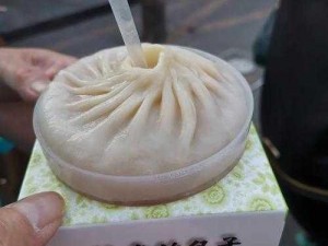 蟹黄汤包的培养秘诀：从选材到技艺，打造美食传奇