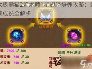 太极熊猫2幻术师1星翅膀培养攻略：翅膀成长全解析