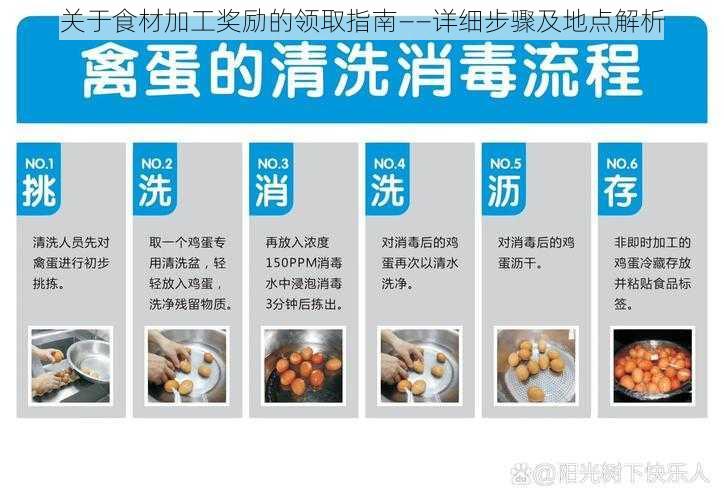 关于食材加工奖励的领取指南——详细步骤及地点解析