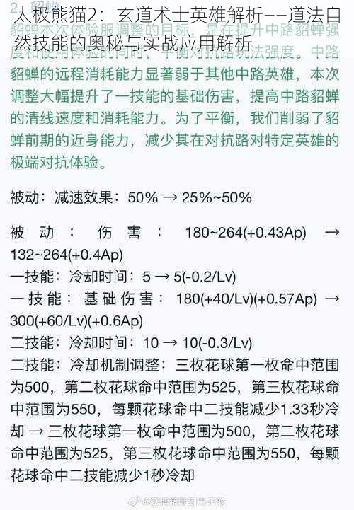 太极熊猫2：玄道术士英雄解析——道法自然技能的奥秘与实战应用解析