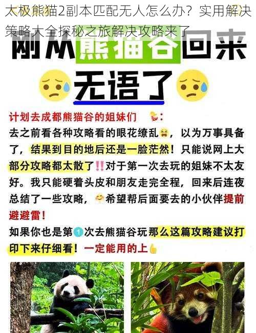 太极熊猫2副本匹配无人怎么办？实用解决策略大全探秘之旅解决攻略来了