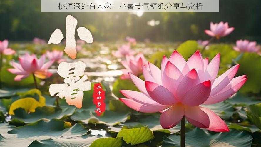 桃源深处有人家：小暑节气壁纸分享与赏析